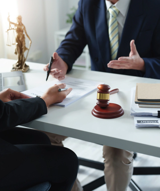 Immigration Lawyer Consultation