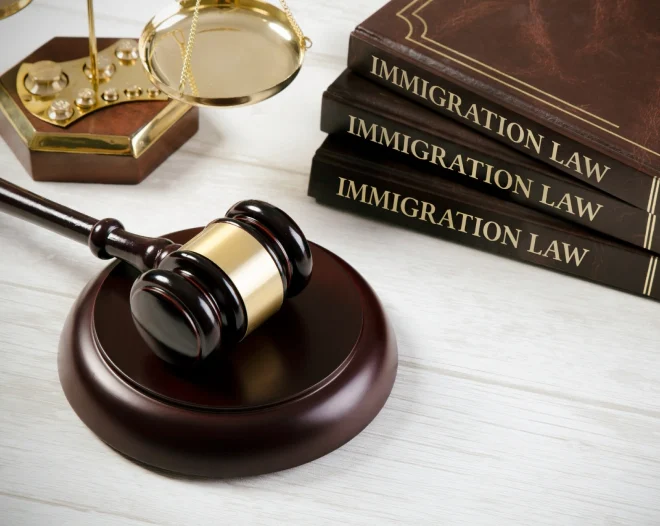 Immigration Legal Guidance (3)